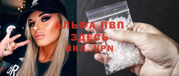 индика Аркадак