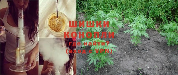 индика Аркадак