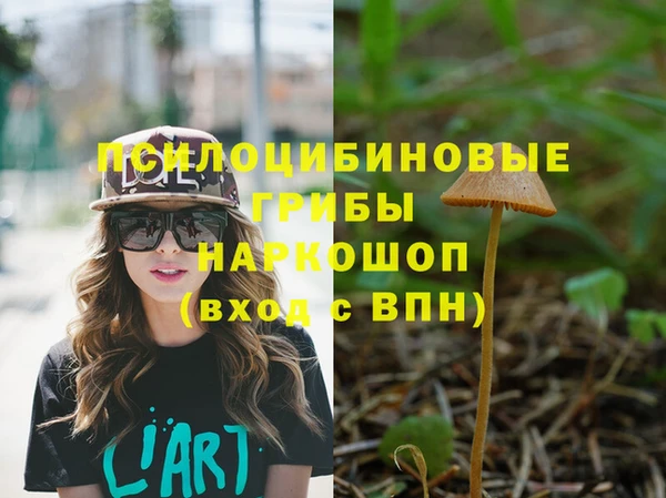 индика Аркадак