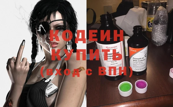 индика Аркадак