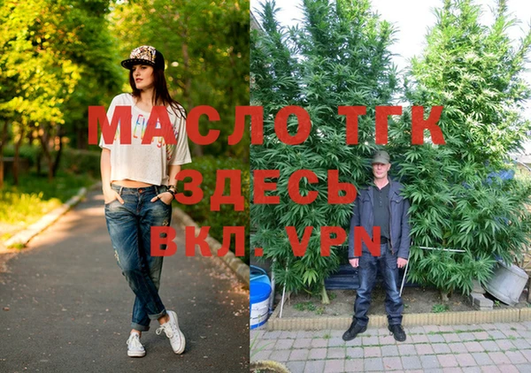 индика Аркадак