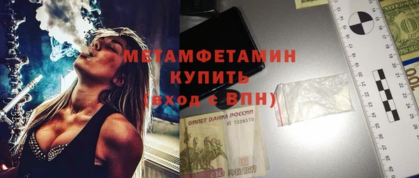 индика Аркадак