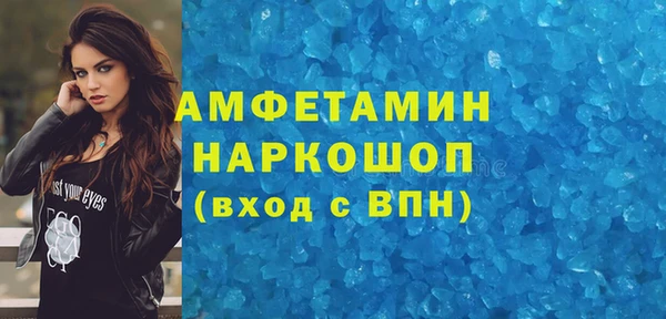 индика Аркадак