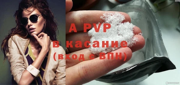 индика Аркадак