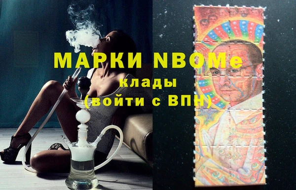 индика Аркадак