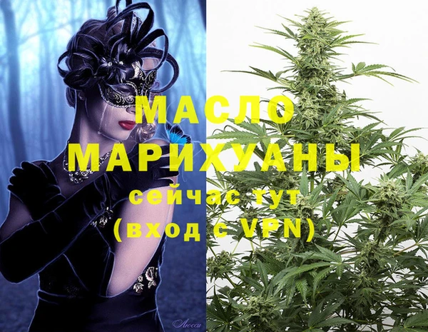 индика Аркадак